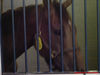 MVC-999F_JPG.jpg