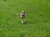 DSC02106.jpg