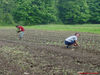 DSC02133.jpg