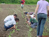 DSC02135.jpg