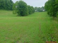 DSC01540.jpg