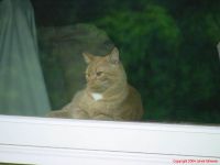 DSC01572.jpg