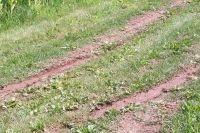 100_0227.jpg