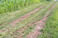 100_0231.jpg