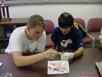 DSC01773.jpg