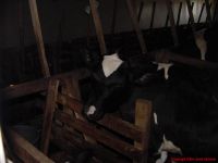DSC01214.jpg