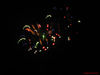 IMG_1599.jpg