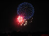 IMG_1652.jpg