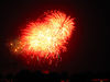 IMG_1673.jpg
