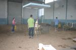 img104.jpg