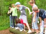 img335.jpg
