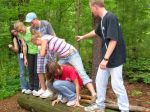 img340.jpg