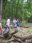 img422.jpg