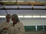 img455.jpg
